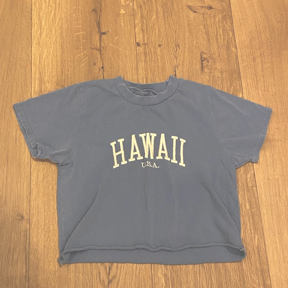 Hawii crop top (brandy Melville)
